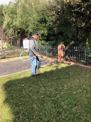 Local garden landscaping in East Palo Alto, CA - Leon Gardening Services