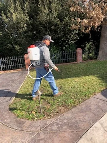 Professional lawn mowing service in East Palo Alto, CA by Leon Gardening Services