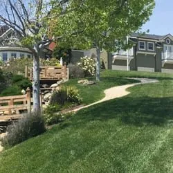 Expert yard cleanup service for residential properties in Oxnard, CA by Leon Landscaping