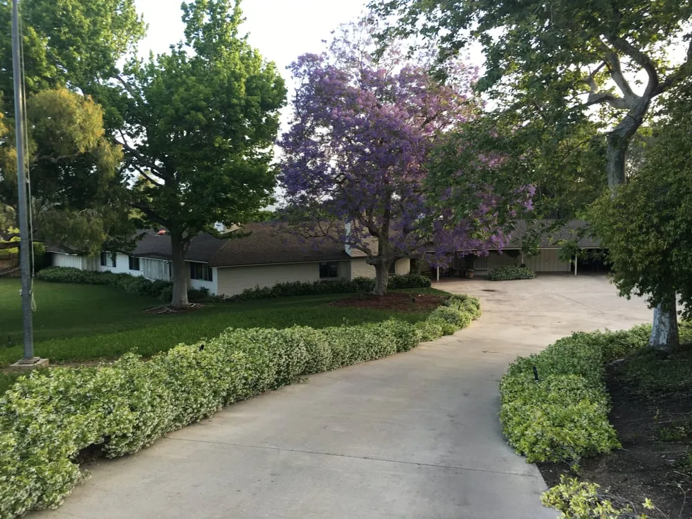 Professional landscape design in Oxnard, CA by Leon Landscaping