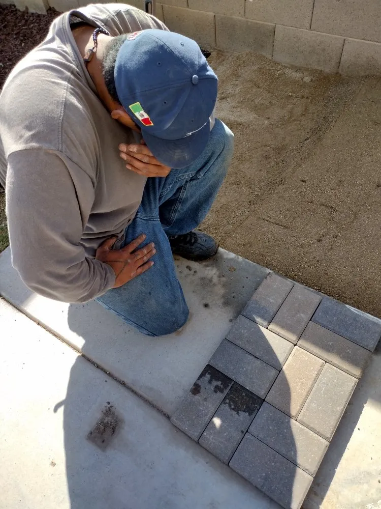 Local yard cleanup service experts serving Phoenix, AZ - Leon Landscaping