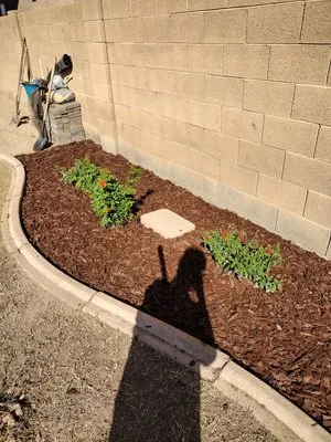 Leon Landscaping Logo