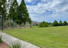 Custom yard maintenance for beautiful yards in Baton Rouge, LA by Leon Lawn Services