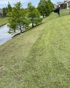 Professional landscaping services for year-round maintenance in Baton Rouge, LA by Leon Lawn Services