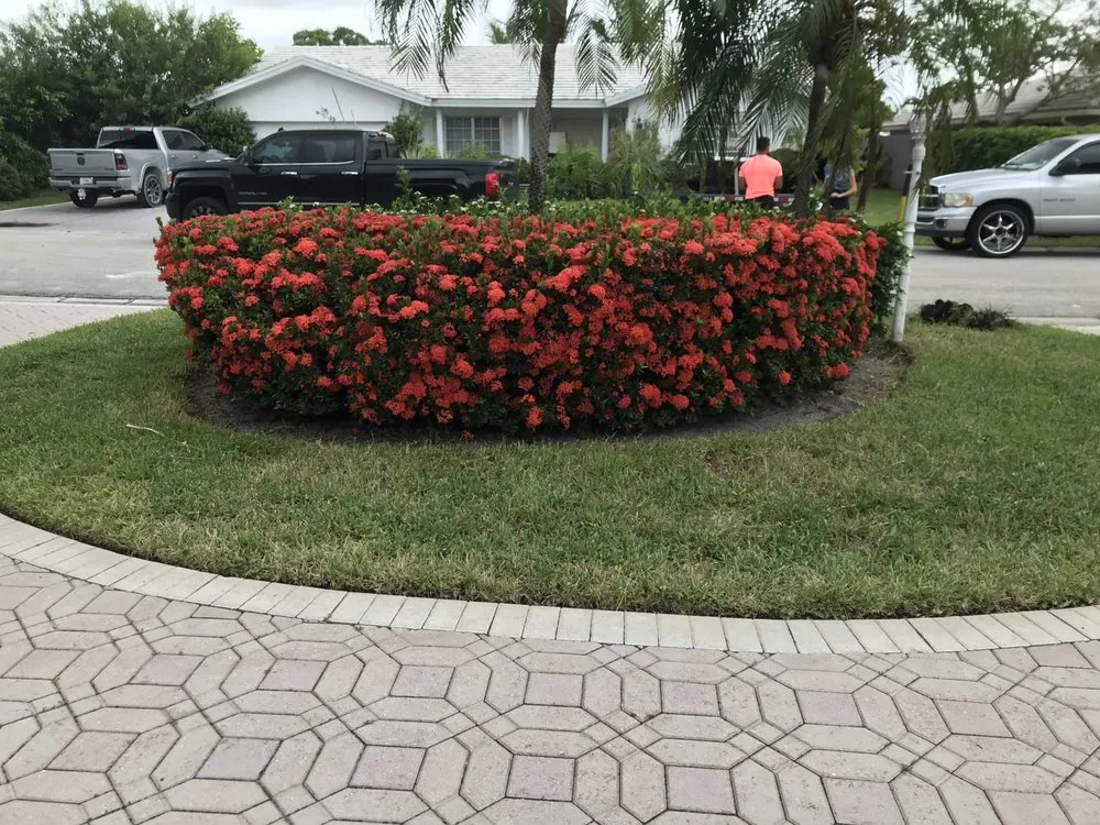 Local yard maintenance in Palm Beach, FL - Leon Lawn Services