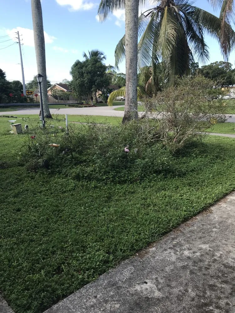 Reliable landscape installation for outdoor upgrades across Palm Beach, FL - Leon Lawn Services