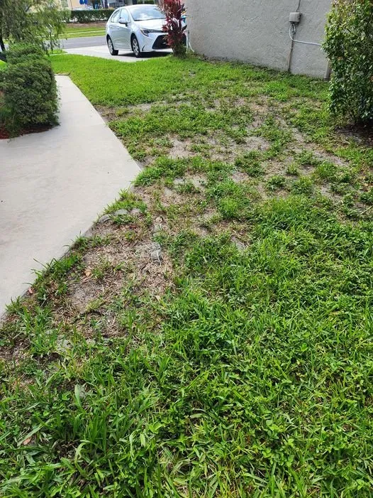 Professional lawn mowing service for residential properties across Palm Beach, FL - Leon Lawn Services