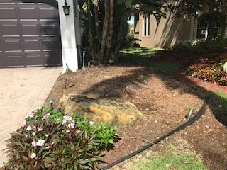 Trusted lawn care service for residential properties across Palm Beach, FL - Leon Lawn Services