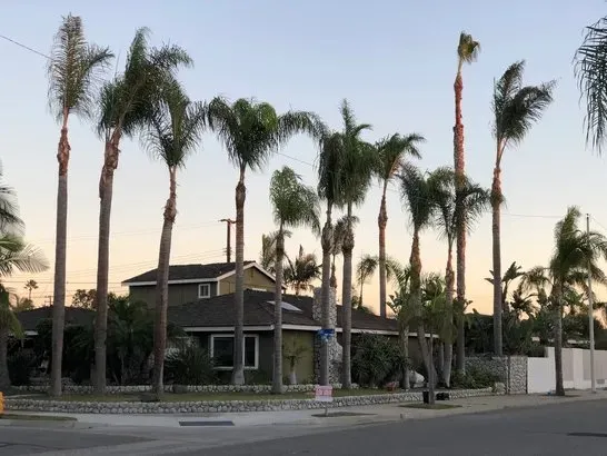 Reliable outdoor landscaping for outdoor upgrades in Santa Ana, CA by Leon