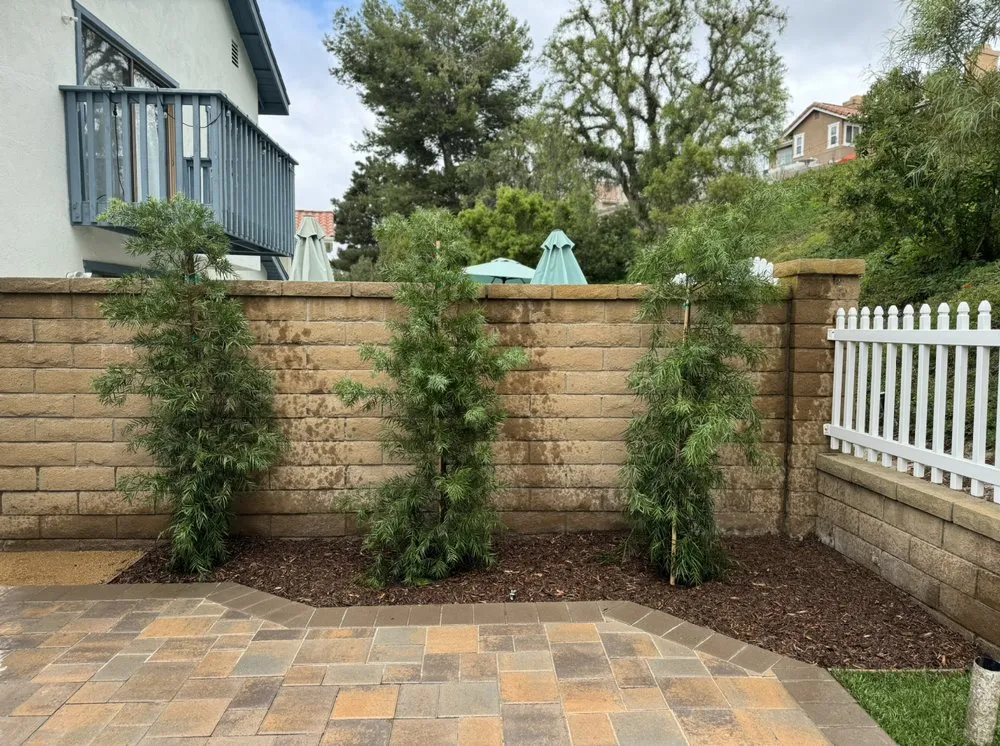 Professional lawn mowing service in Santa Ana, CA by Leon