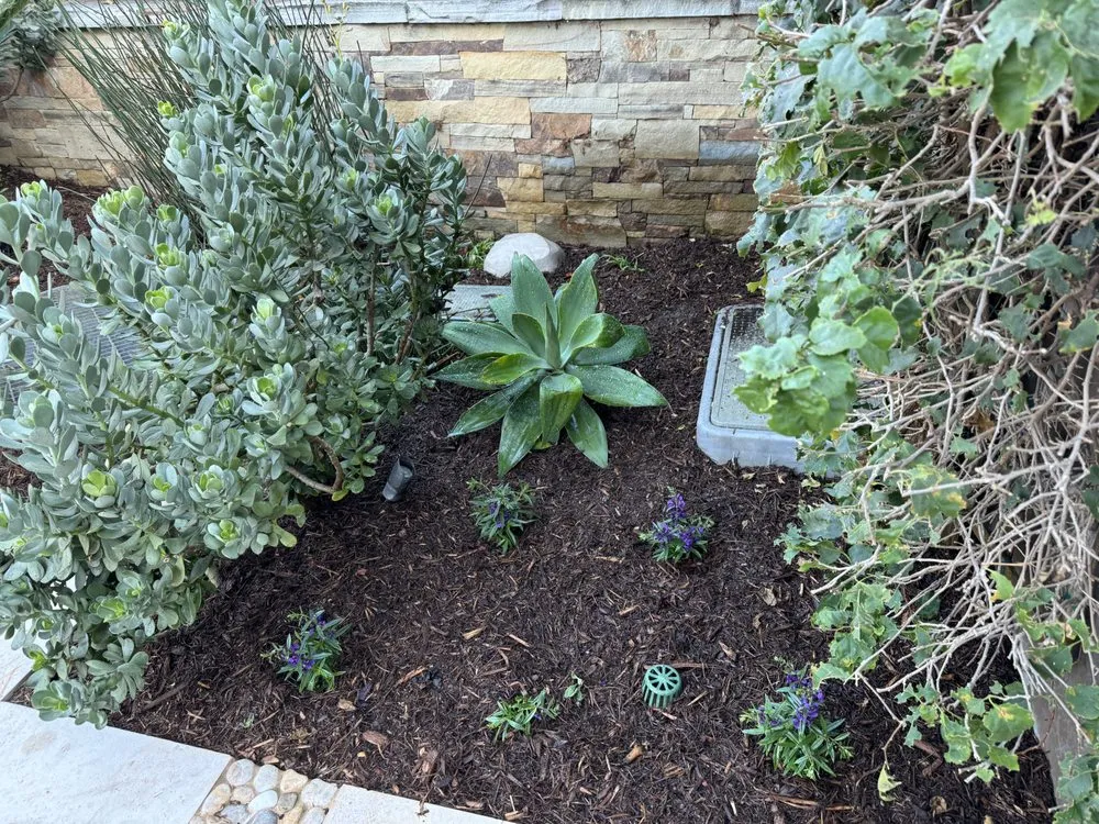 Top-rated garden landscaping near you in Santa Ana, CA by Leon