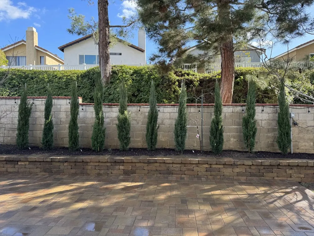 Local lawn care service for year-round maintenance in Santa Ana, CA by Leon