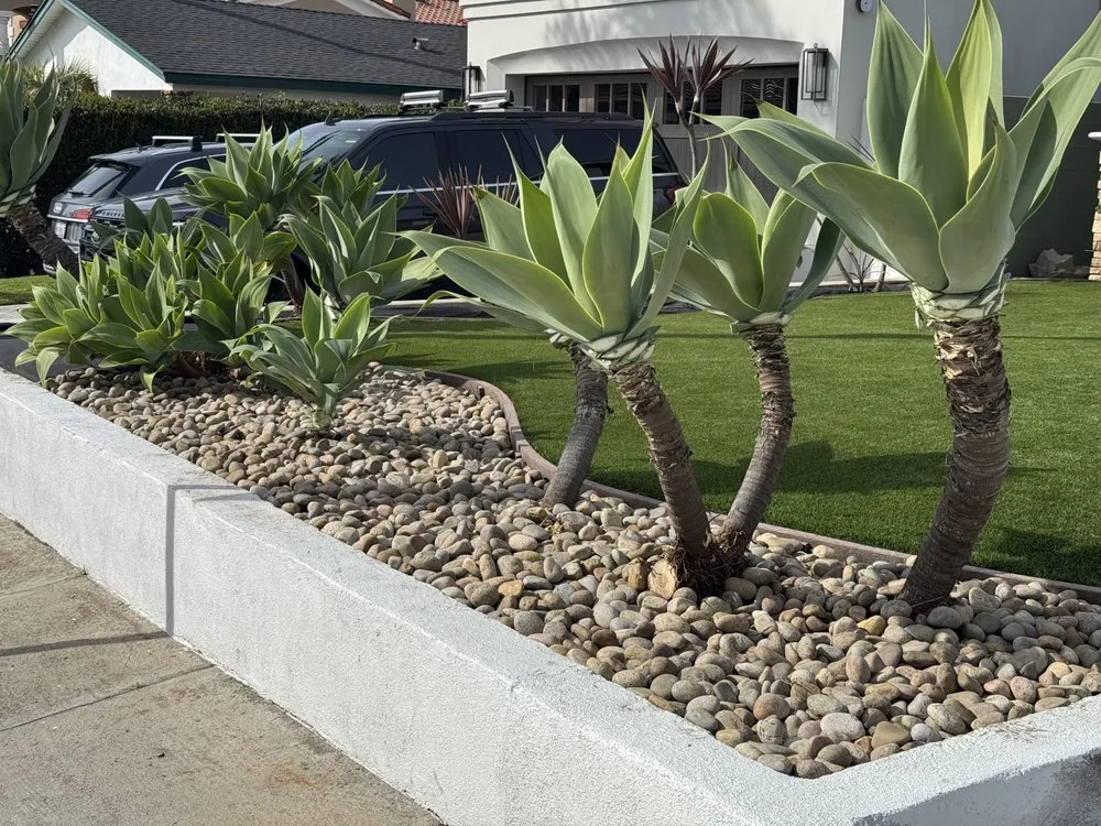 Trusted landscaping services for residential properties in Santa Ana, CA by Leon