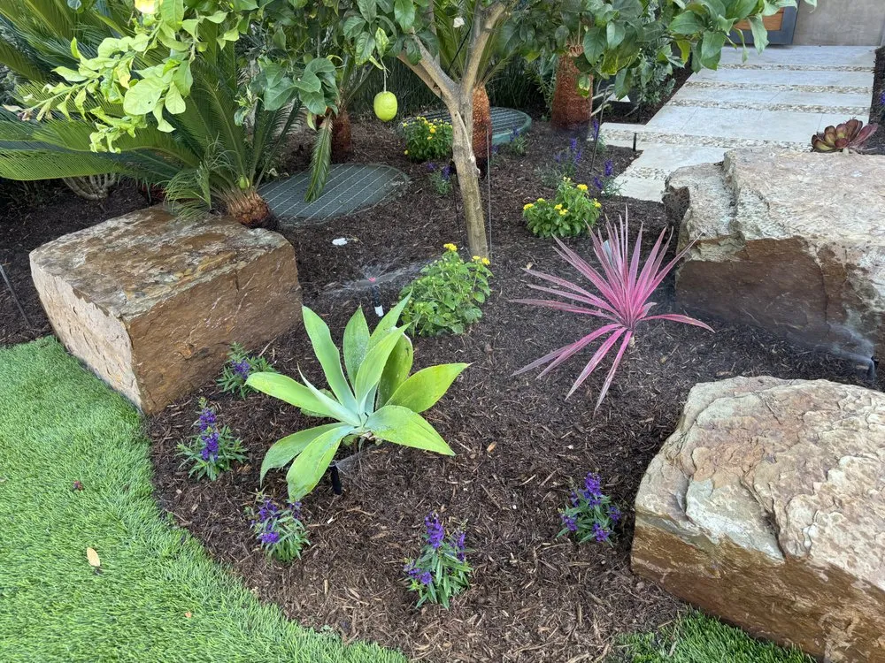 Trusted yard maintenance in Santa Ana, CA - Leon