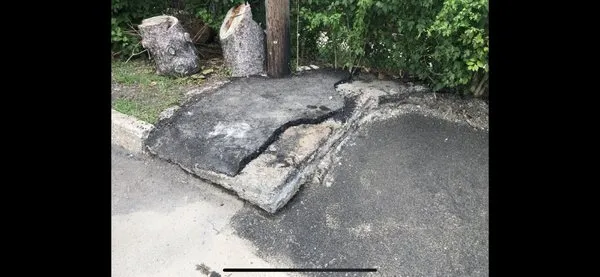 Leon Seal Coating Logo