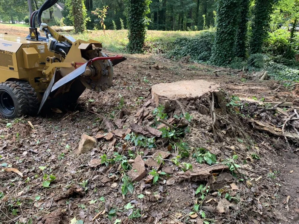 Top-rated lawn care service in Marietta, GA - Leon Stump Grinding