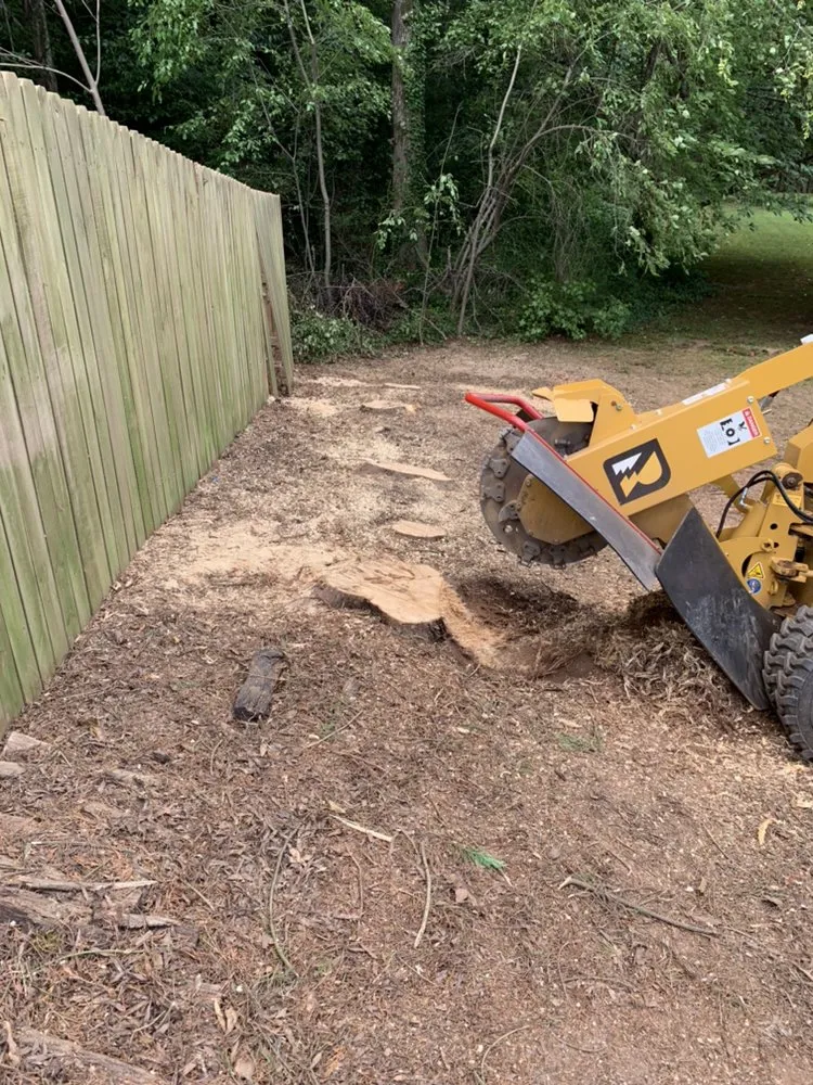 Local landscaping services in Marietta, GA by Leon Stump Grinding