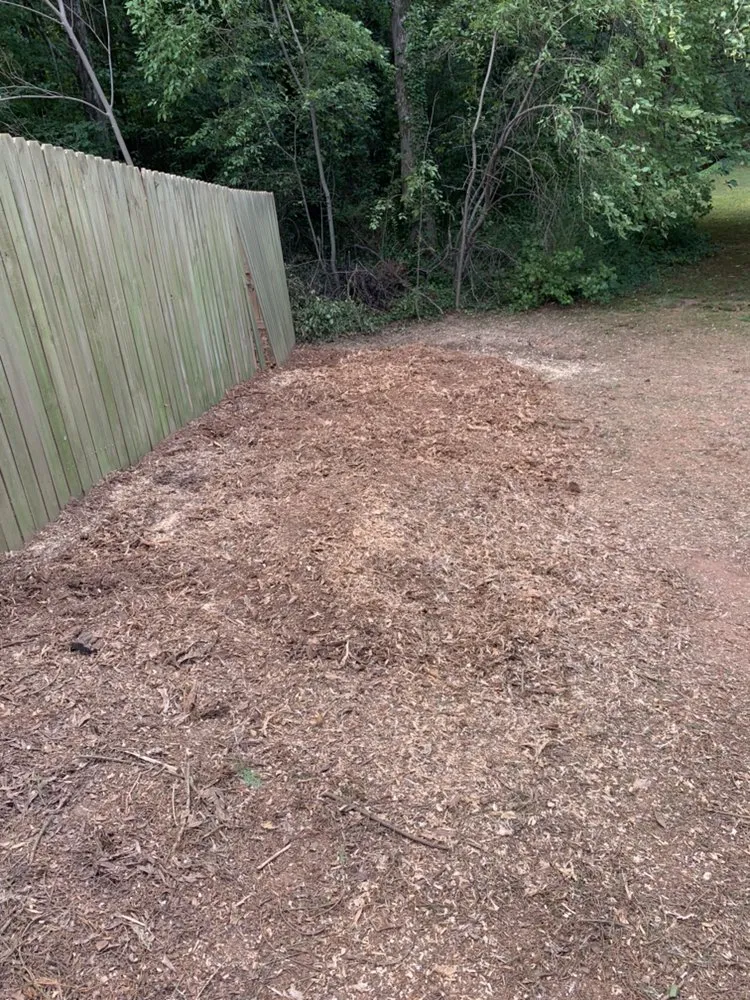 Reliable yard cleanup service in Marietta, GA by Leon Stump Grinding