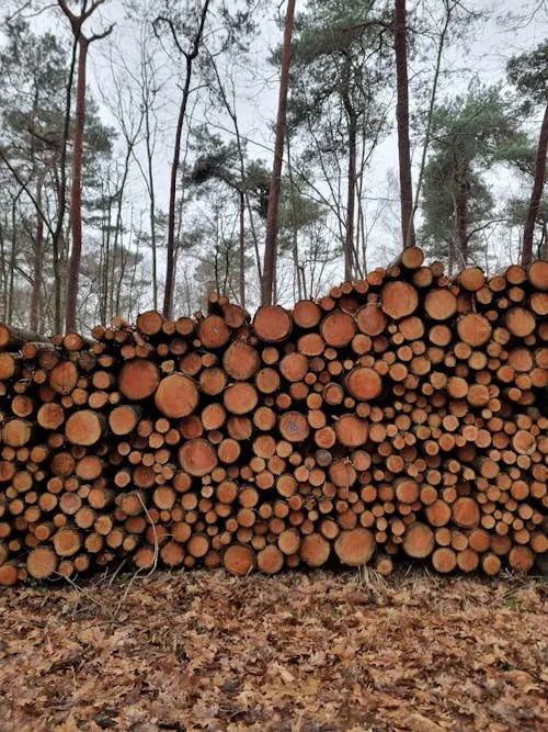 Custom outdoor landscaping with custom design across Denton, NC - Leonard Landscape Services