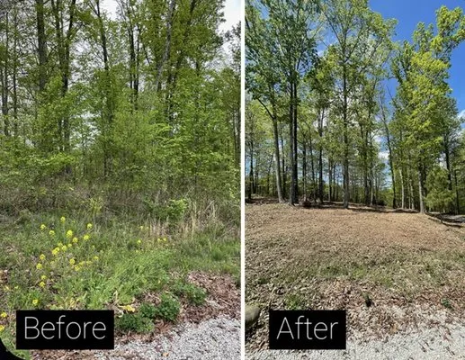 Leonard Landscape Services