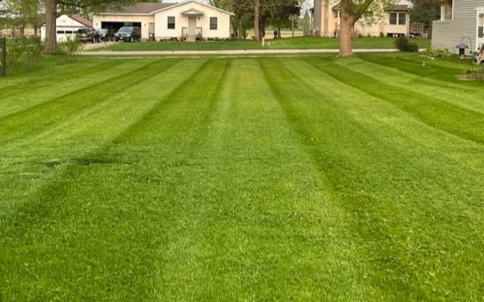 Custom outdoor landscaping in Crane, MO - Leonard Lawn Service