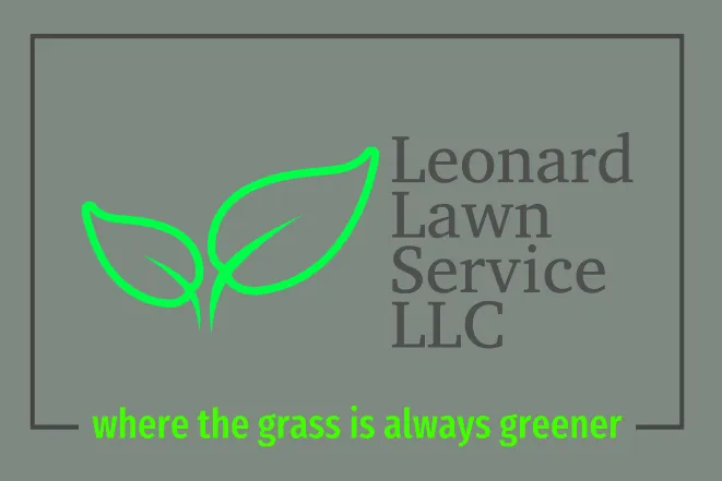Trusted yard cleanup service in Crane, MO - Leonard Lawn Service