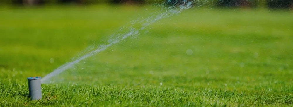 Top-rated landscaping services in Encinitas, CA - Leonardes Landscaping