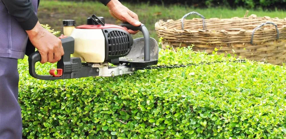 Affordable residential landscaping in Encinitas, CA - Leonardes Landscaping