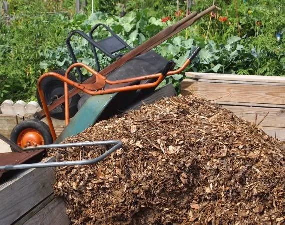 Top-rated yard maintenance experts serving Encinitas, CA - Leonardes Landscaping