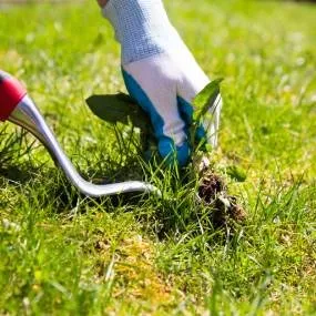 Trusted landscape installation near you in Encinitas, CA by Leonardes Landscaping