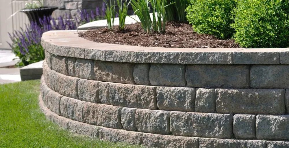 Top-rated yard cleanup service for homes across Encinitas, CA - Leonardes Landscaping