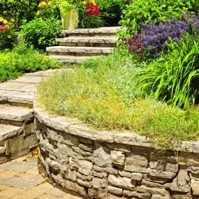 Top-rated lawn care service with custom design in Encinitas, CA by Leonardes Landscaping