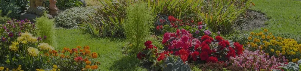 Custom landscaping services for year-round maintenance across Encinitas, CA - Leonardes Landscaping