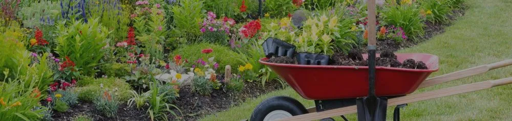 Custom lawn care service experts serving Encinitas, CA - Leonardes Landscaping