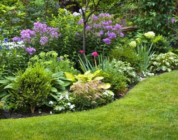 Top-rated residential landscaping in Encinitas, CA - Leonardes Landscaping