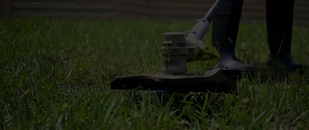 Expert landscape design with custom design in Encinitas, CA by Leonardes Landscaping