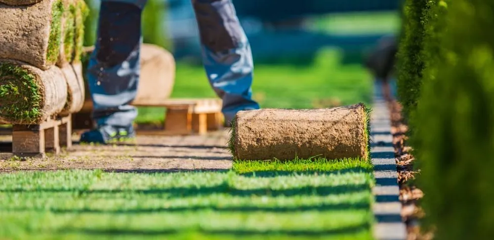 Top-rated outdoor landscaping near you across Encinitas, CA - Leonardes Landscaping