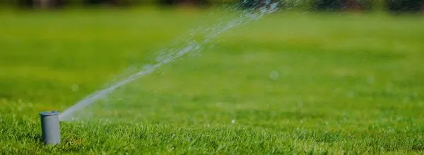 Leonardes Landscaping Logo