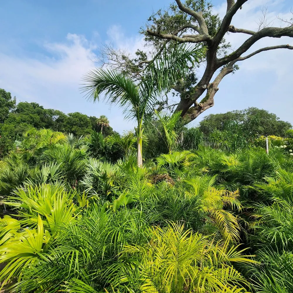 Custom lawn care service in Saint Augustine, FL - Leonardi's Nursery Landscaping & Irrigation