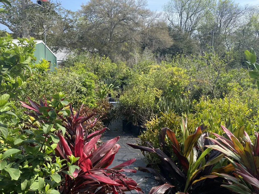 Expert yard maintenance in Saint Augustine, FL - Leonardi's Nursery Landscaping & Irrigation
