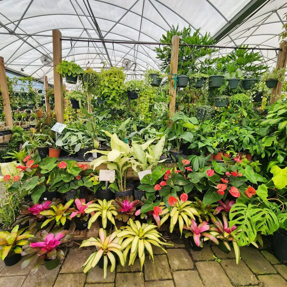 Professional lawn mowing service experts serving Saint Augustine, FL - Leonardi's Nursery Landscaping & Irrigation