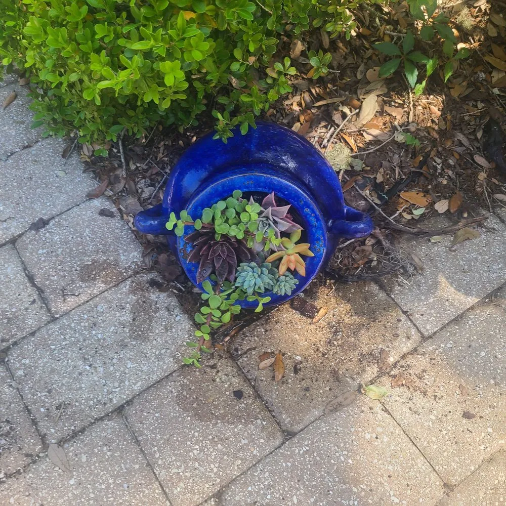 Expert residential landscaping for outdoor upgrades in Saint Augustine, FL by Leonardi's Nursery Landscaping & Irrigation