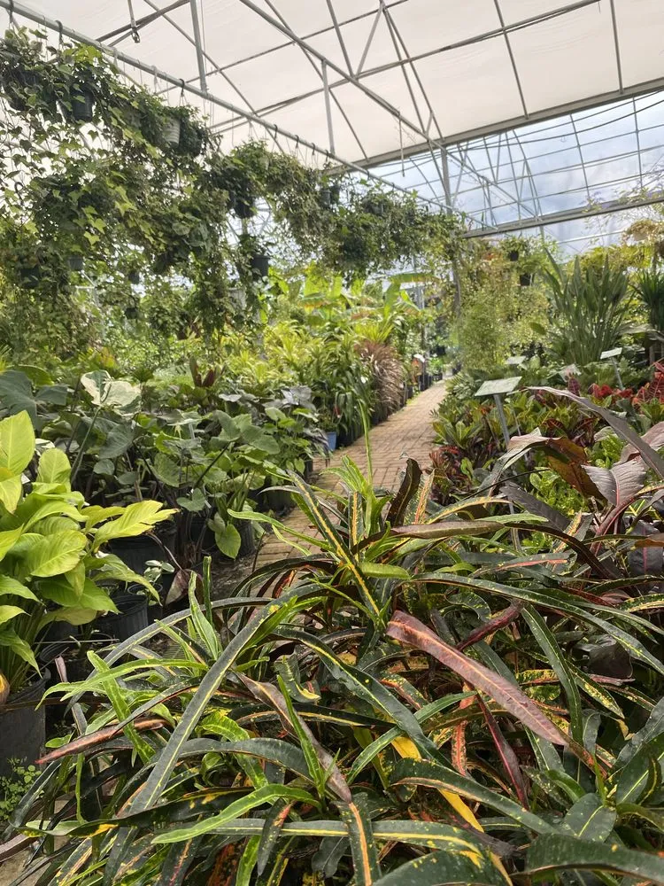 Professional yard cleanup service experts serving Saint Augustine, FL - Leonardi's Nursery Landscaping & Irrigation