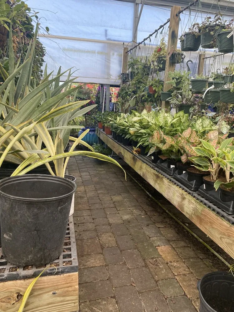 Trusted landscaping services in Saint Augustine, FL - Leonardi's Nursery Landscaping & Irrigation