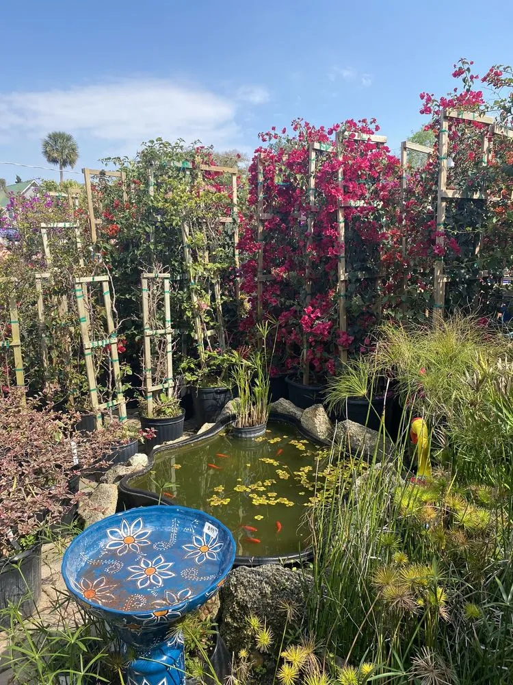 Expert landscape installation experts serving Saint Augustine, FL - Leonardi's Nursery Landscaping & Irrigation