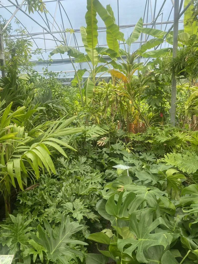 Trusted landscape installation near you in Saint Augustine, FL by Leonardi's Nursery Landscaping & Irrigation