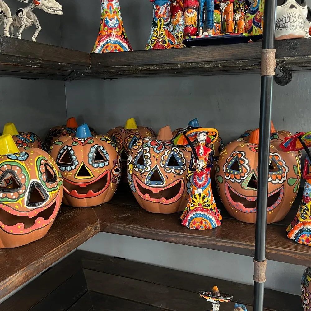 Local landscaping services in Saint Augustine, FL - Leonardi's Nursery Landscaping & Irrigation