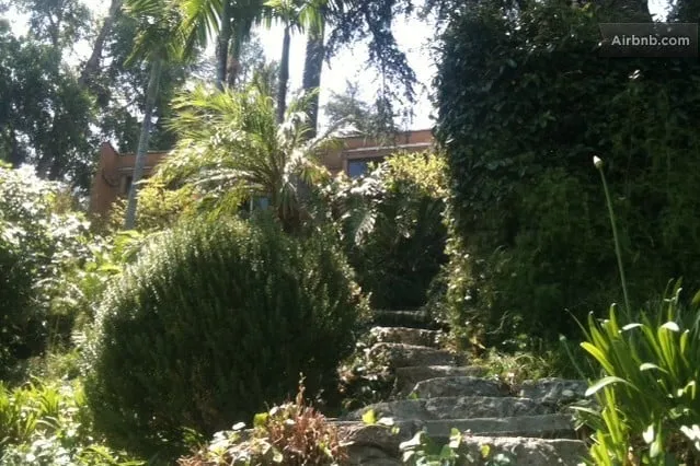 Local outdoor landscaping in Los Angeles, CA - Leonardo Chalupowicz Studio
