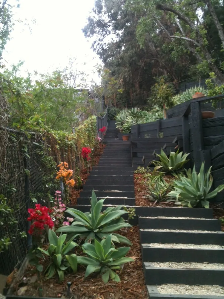 Expert yard cleanup service in Los Angeles, CA - Leonardo Chalupowicz Studio