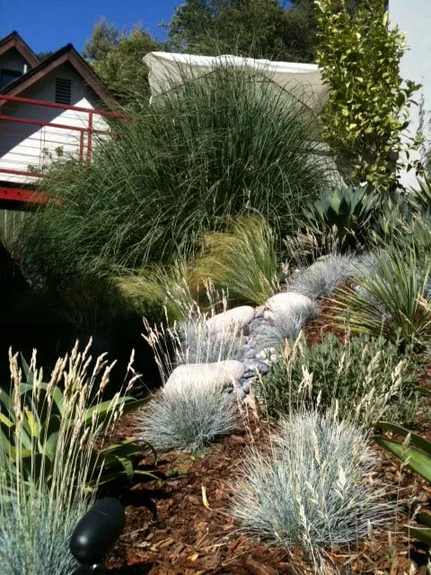 Affordable yard cleanup service in Los Angeles, CA - Leonardo Chalupowicz Studio